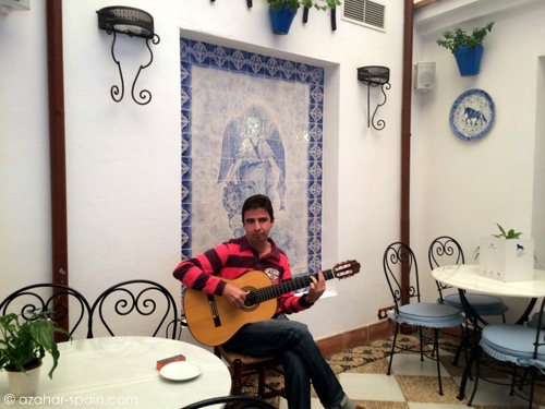 caballo andaluz guitarist